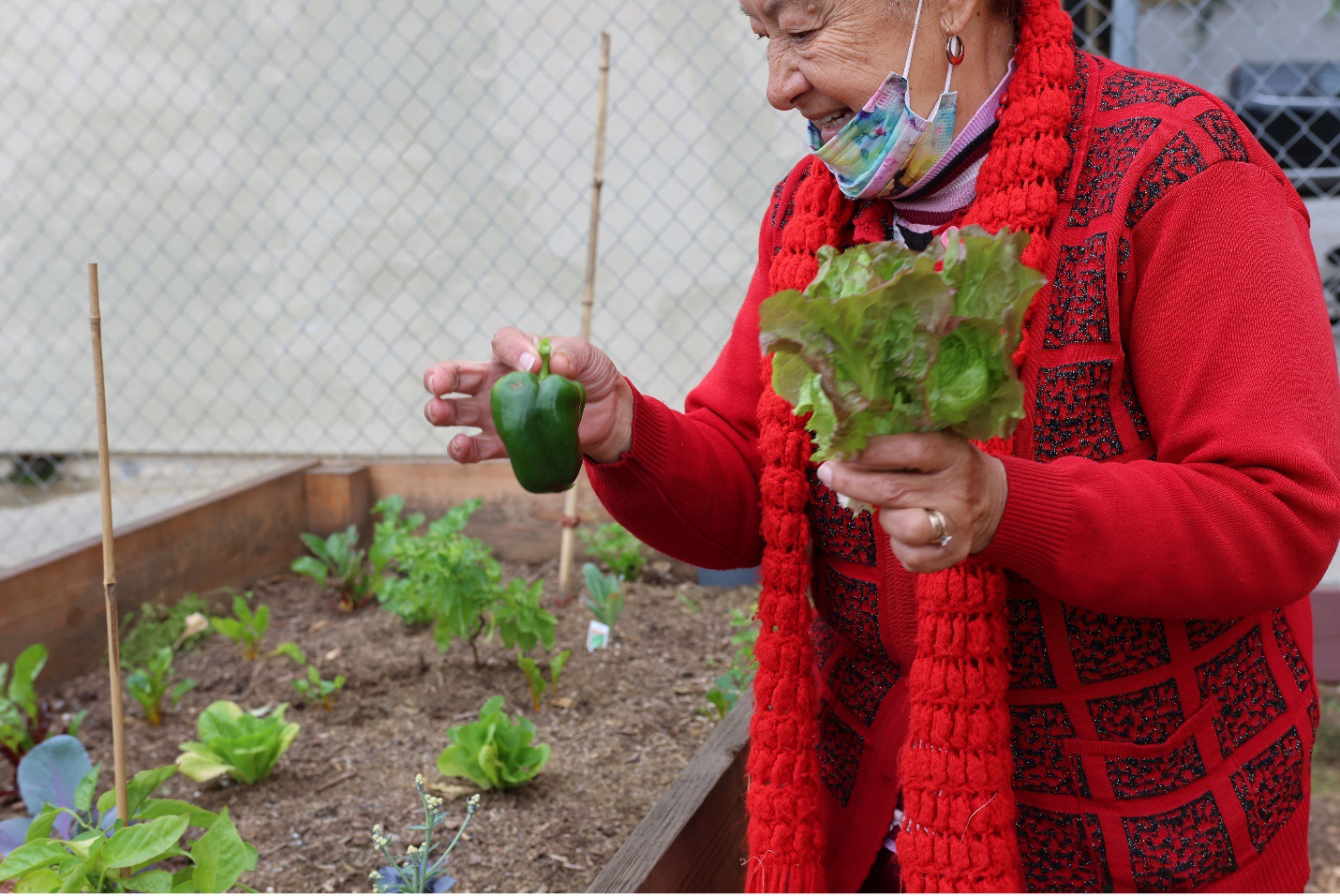 A resident working in the community garden 